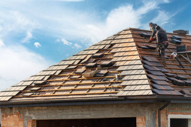 Reliable Zephyrhills North, FL Roofing service Solutions